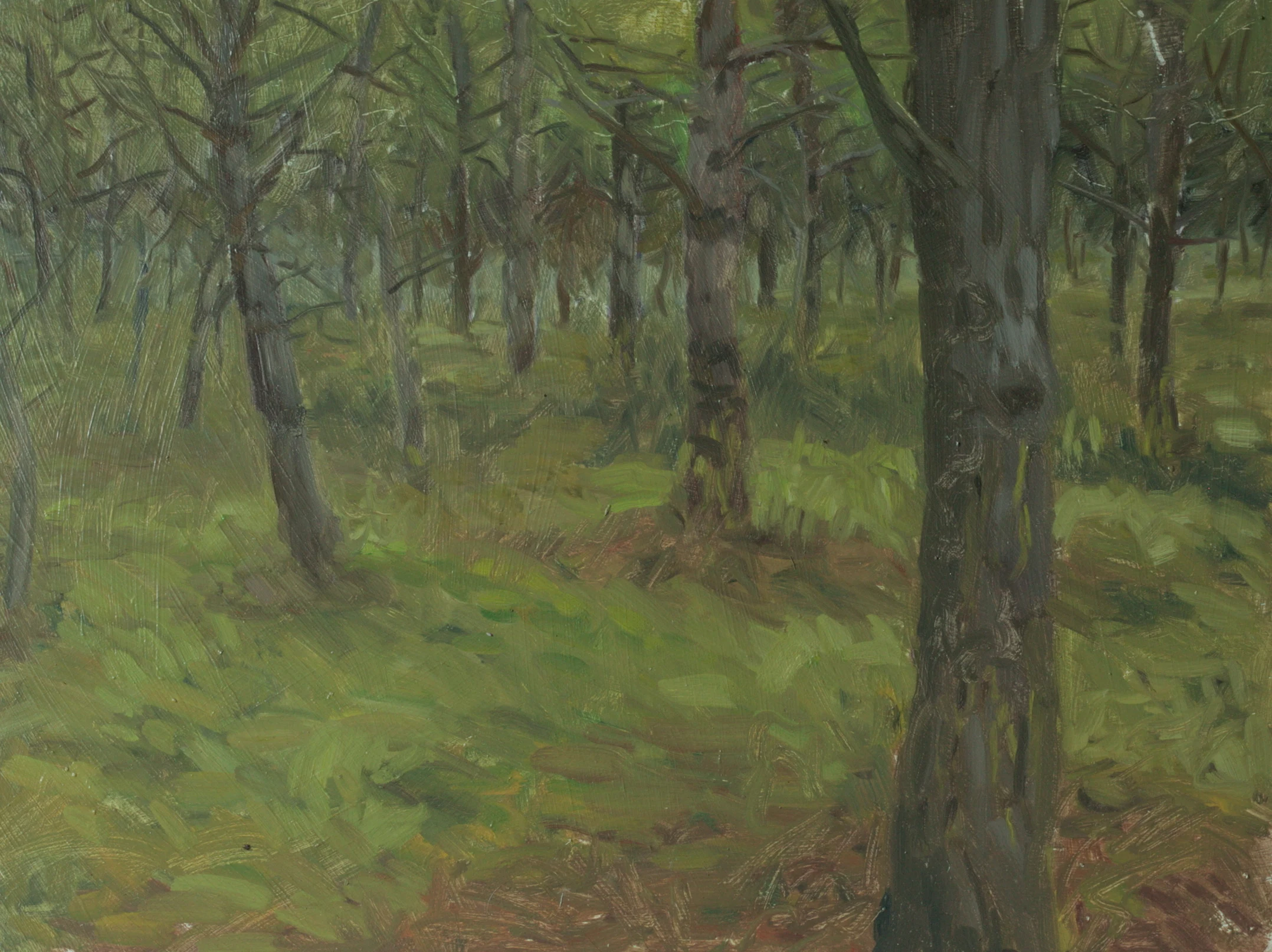 Pintura impressionista da Mata Nacional do Escaroupim